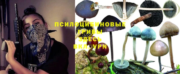 первитин Семикаракорск