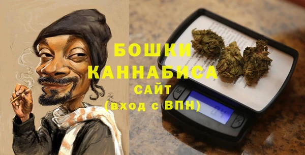 сатива Семилуки