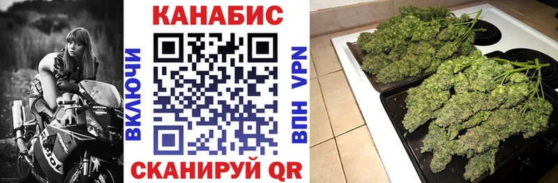 Купить где  Палласовка  Марихуана OG Kush 